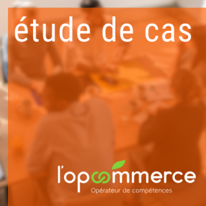 Etude de cas - OPCOMMERCE - vignette site