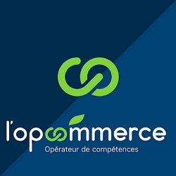 logo opcommerce
